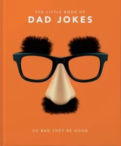 Little Book of Dad Jokes